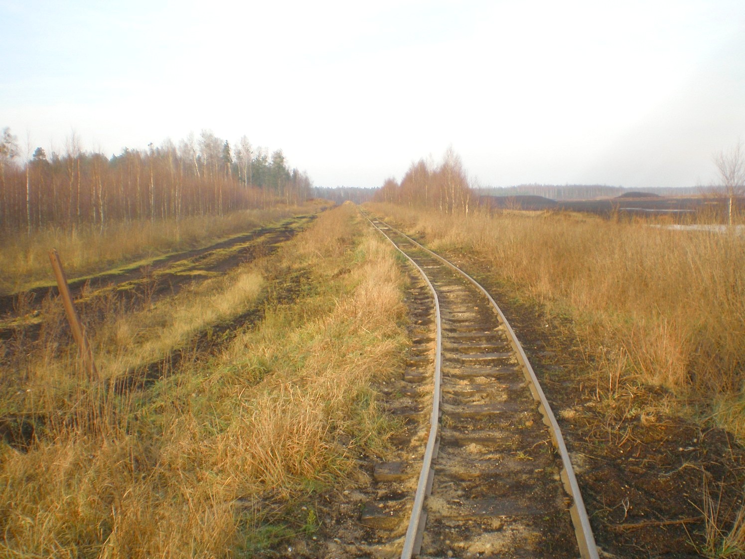 Узкоколейная железная дорога торфопредприятия «Вертелишки» — фотографии, сделанные в 2008 году (часть 17)