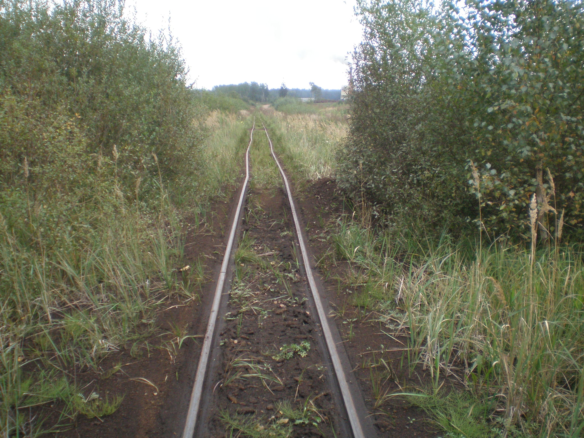 Узкоколейная железная дорога торфобрикетного завода Сангла — фотографии, сделанные в 2008 году (часть 8)