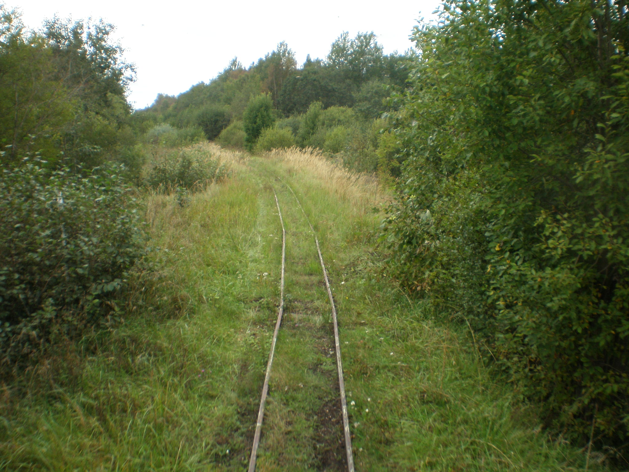 Узкоколейная железная дорога Тоотси — Лавассааре — фотографии, сделанные в 2008 году (часть 27)