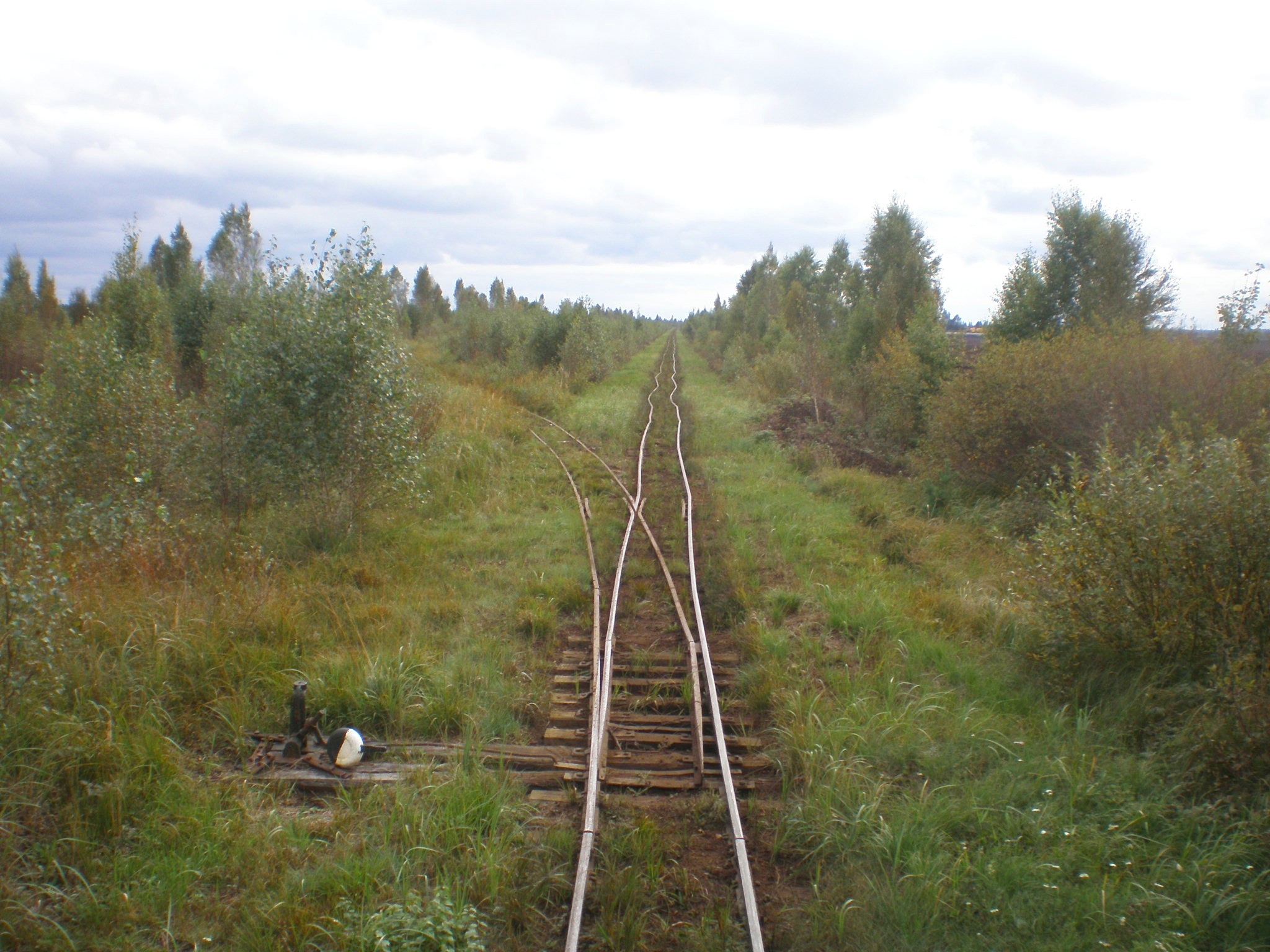 Узкоколейная железная дорога Тоотси — Лавассааре — фотографии, сделанные в 2008 году (часть 30)