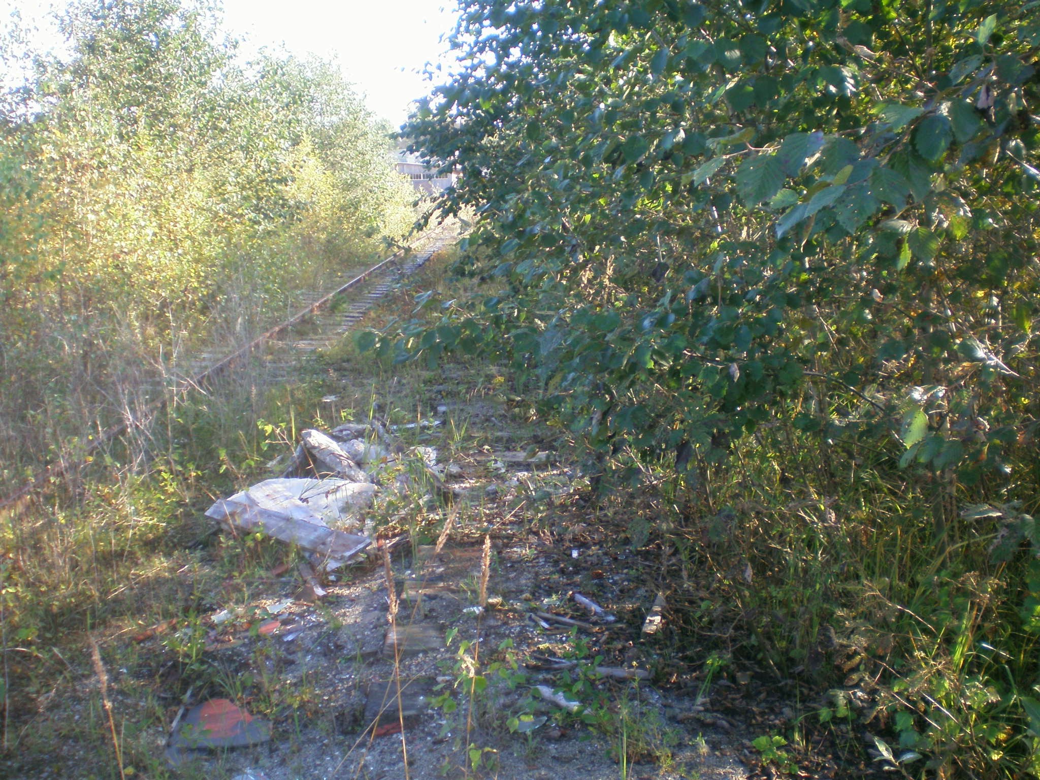 Узкоколейная железная дорога деревопропиточного завода Турба  —  фотографии, сделанные в 2008 году (часть 1)