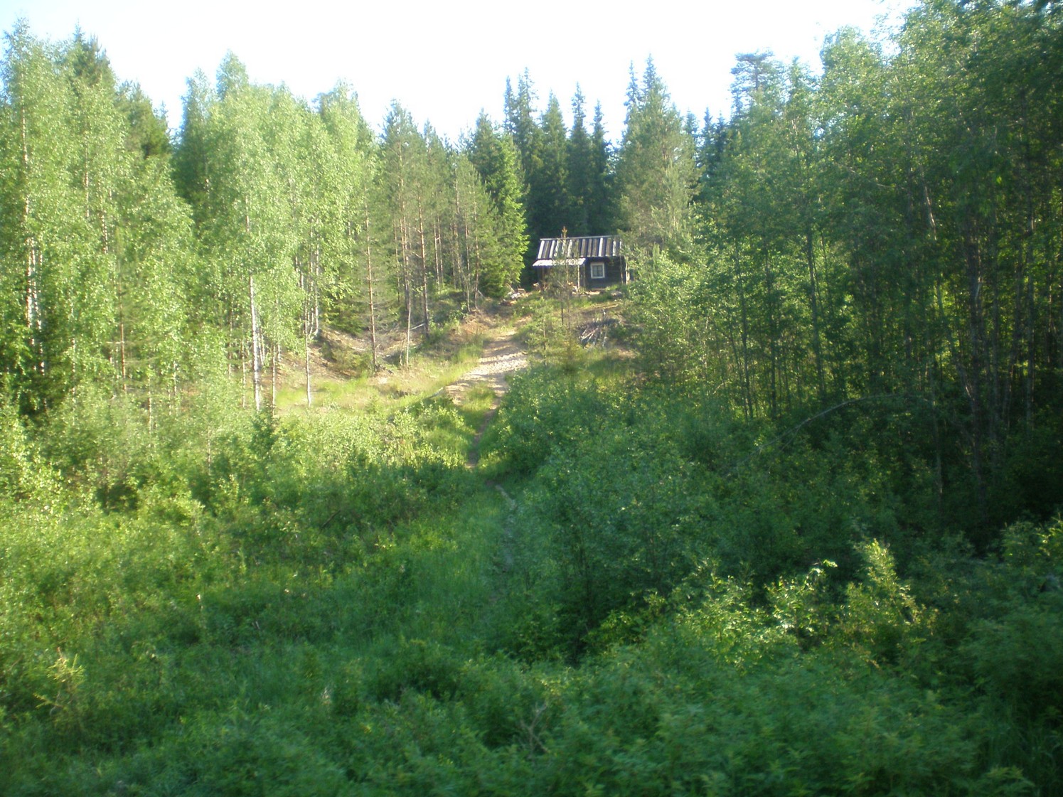 Ивакшанская узкоколейная железная дорога — фотографии, сделанные в 2009 году (часть 13)
