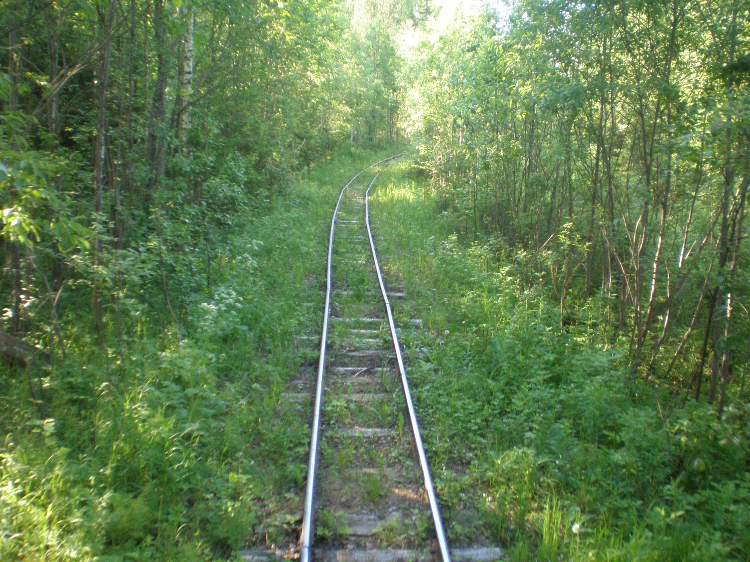 Ивакшанская узкоколейная железная дорога — фотографии, сделанные в 2009 году (часть 14)