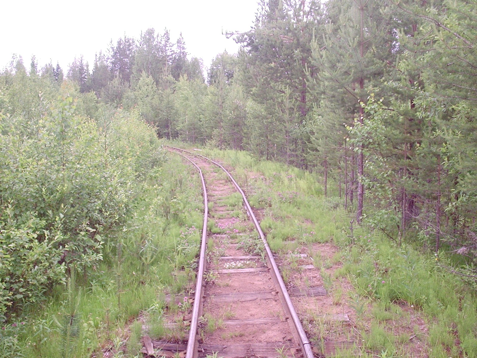 Кодинская узкоколейная железная дорога - фотографии  (часть 10)