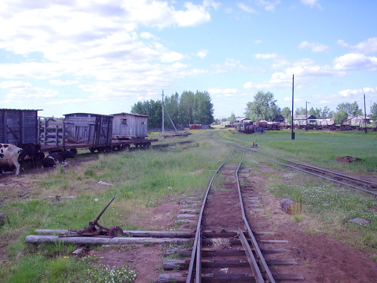Кодинская узкоколейная железная дорога - фотографии  (часть 3)