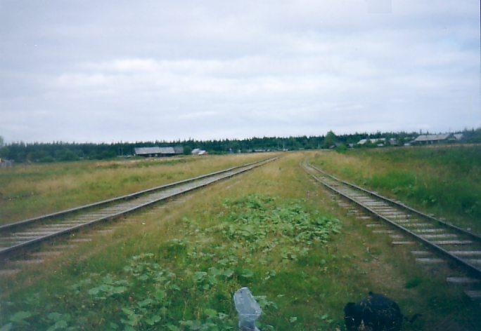 Лепшинская узкоколейная железная дорога