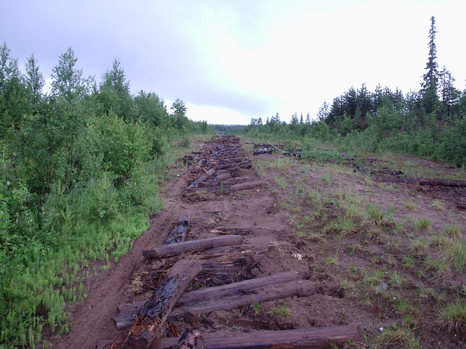 Малошуйская узкоколейная железная дорога - фотографии, сделанные в 2006 году (часть 7)