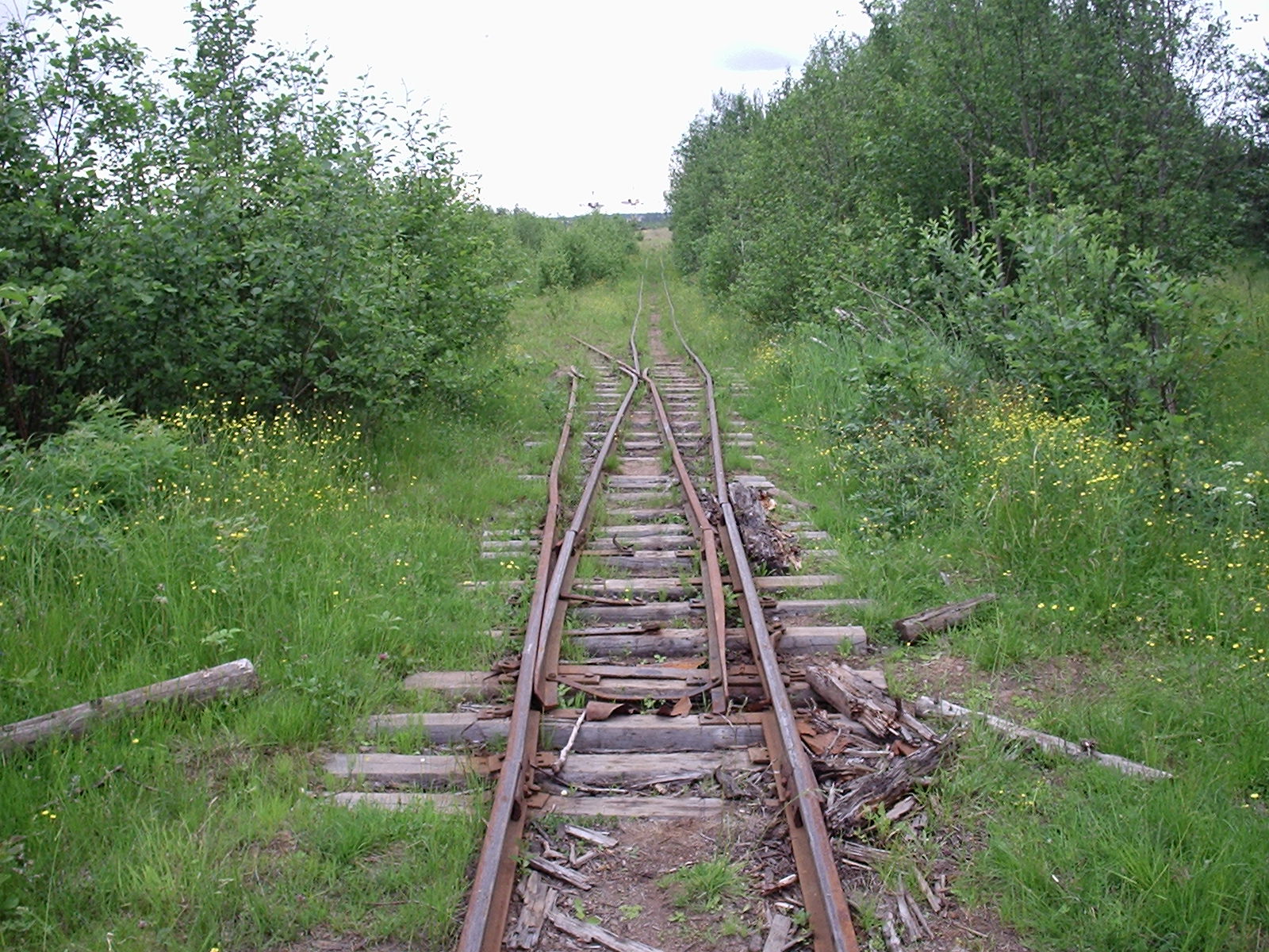 Малошуйская узкоколейная железная дорога - фотографии, сделанные в 2006 году (часть 2)