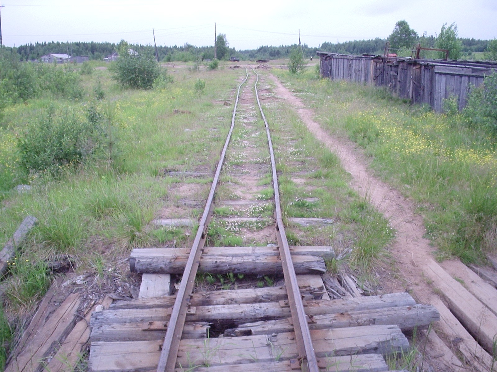 Малошуйская узкоколейная железная дорога - фотографии, сделанные в 2006 году (часть 4)