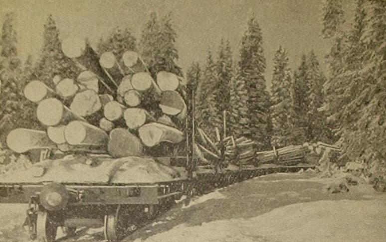 Черёмушская узкоколейная железная дорога