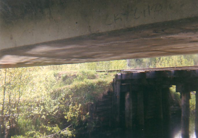 Шортюгская железная дорога (Супротивный — Полдневица — Малое Раменье)