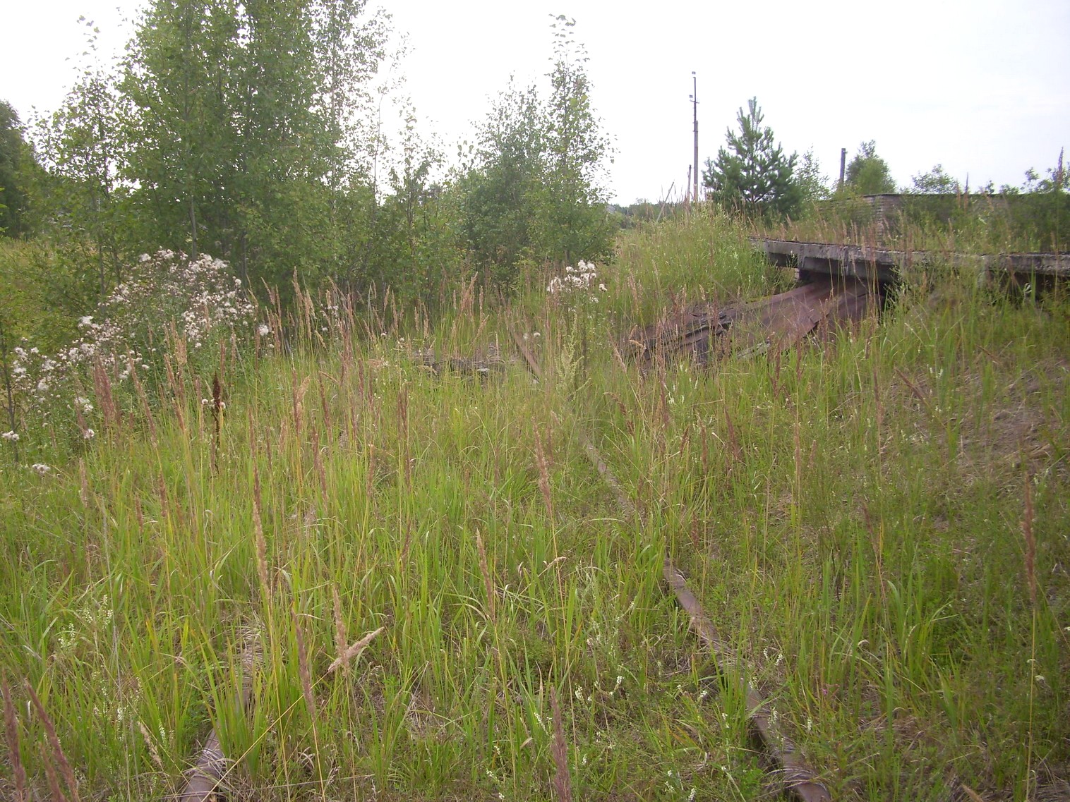 Шортюгская железная дорога
  —  фотографии, сделанные в 2012 году (часть 1)