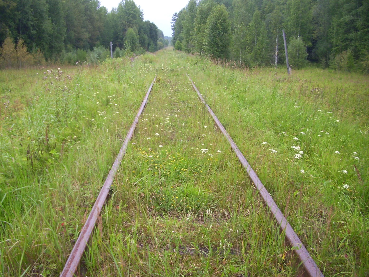 Шортюгская железная дорога
  —  фотографии, сделанные в 2012 году (часть 16)