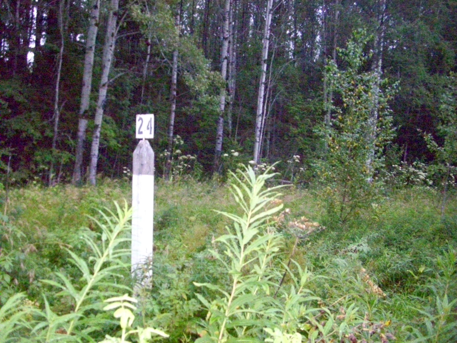 Шортюгская железная дорога
  —  фотографии, сделанные в 2012 году (часть 18)