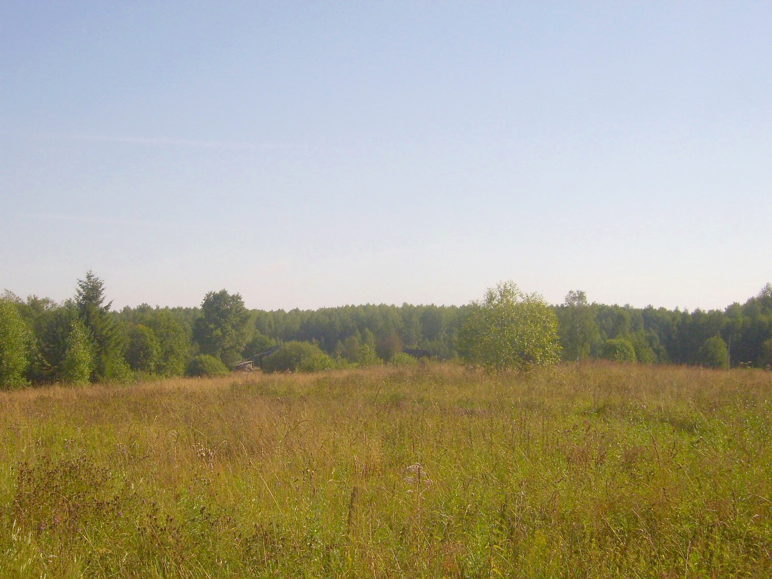 Шортюгская железная дорога
  —  фотографии, сделанные в 2012 году (часть 23)