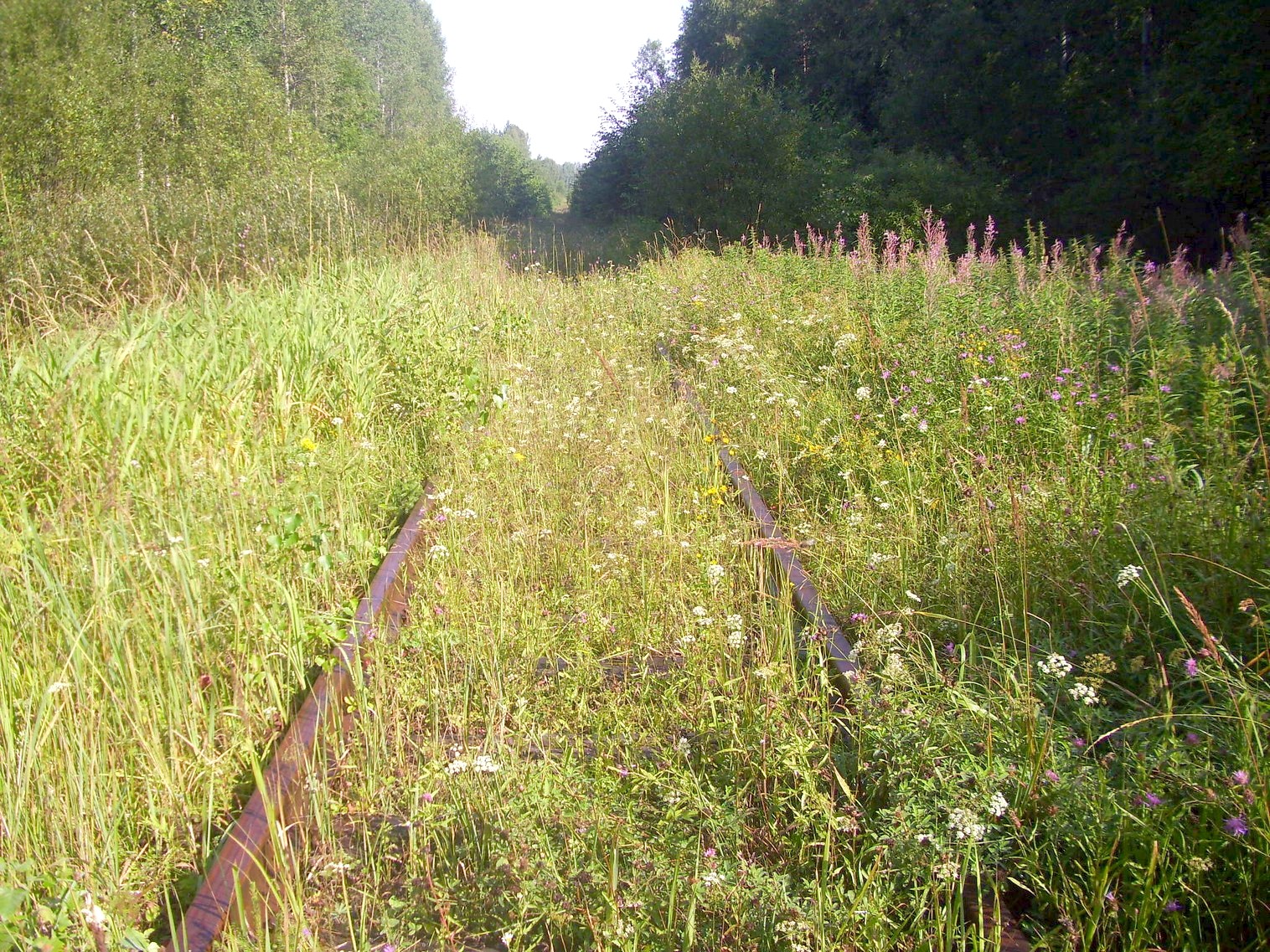 Шортюгская железная дорога
  —  фотографии, сделанные в 2012 году (часть 24)