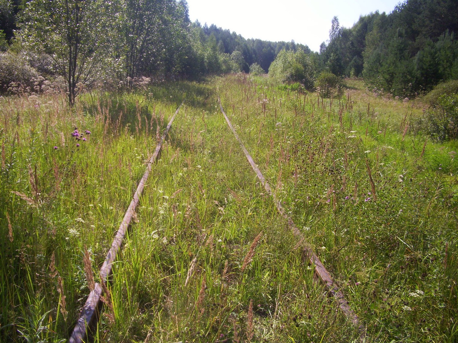 Шортюгская железная дорога
  —  фотографии, сделанные в 2012 году (часть 27)