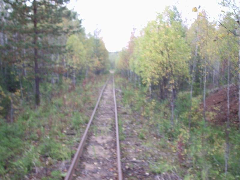 Вёздинская узкоколейная железная дорога - фотографии (часть 6)