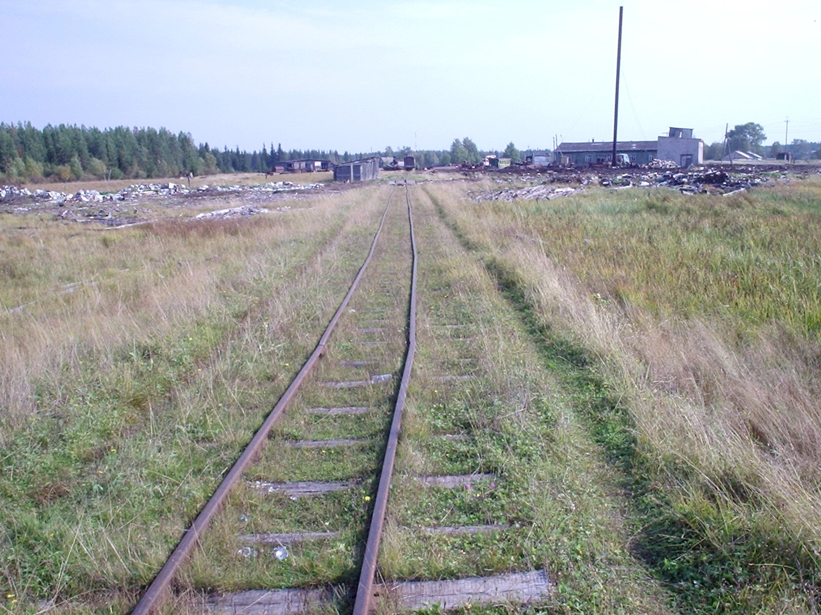 Вёздинская узкоколейная железная дорога - фотографии (часть 4)