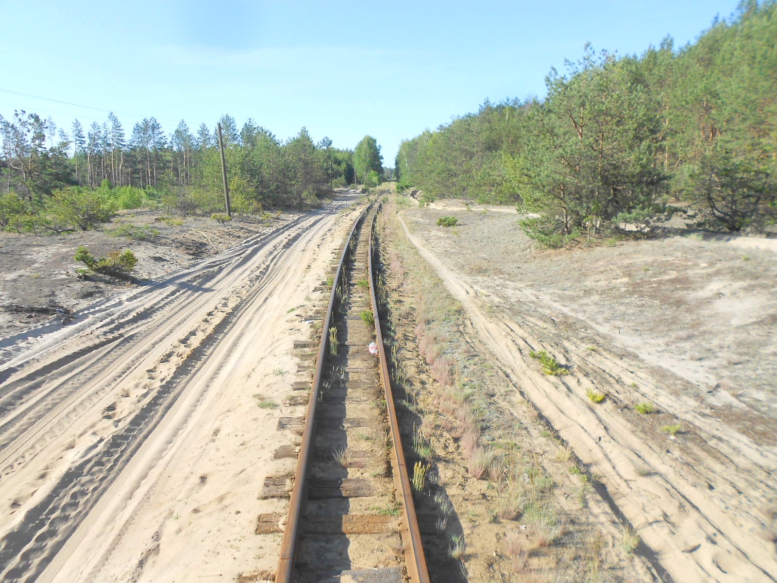 Узкоколейная железная дорога Антоновка — Заречное — фотографии, сделанные в 2016 году (часть 8)