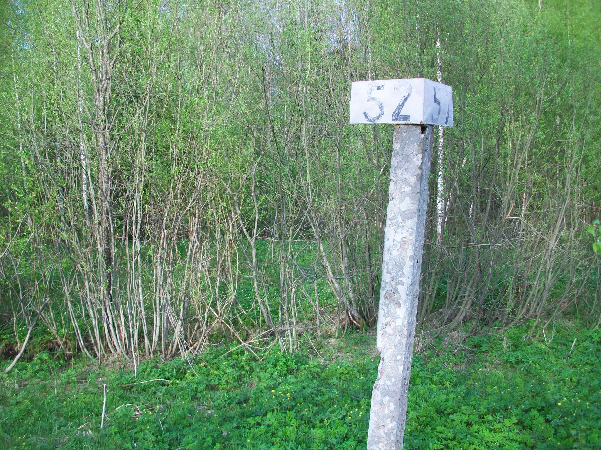 Железнодорожная линия Валдай — Крестцы 
  —  фотографии, сделанные в 2015 году (часть 53)