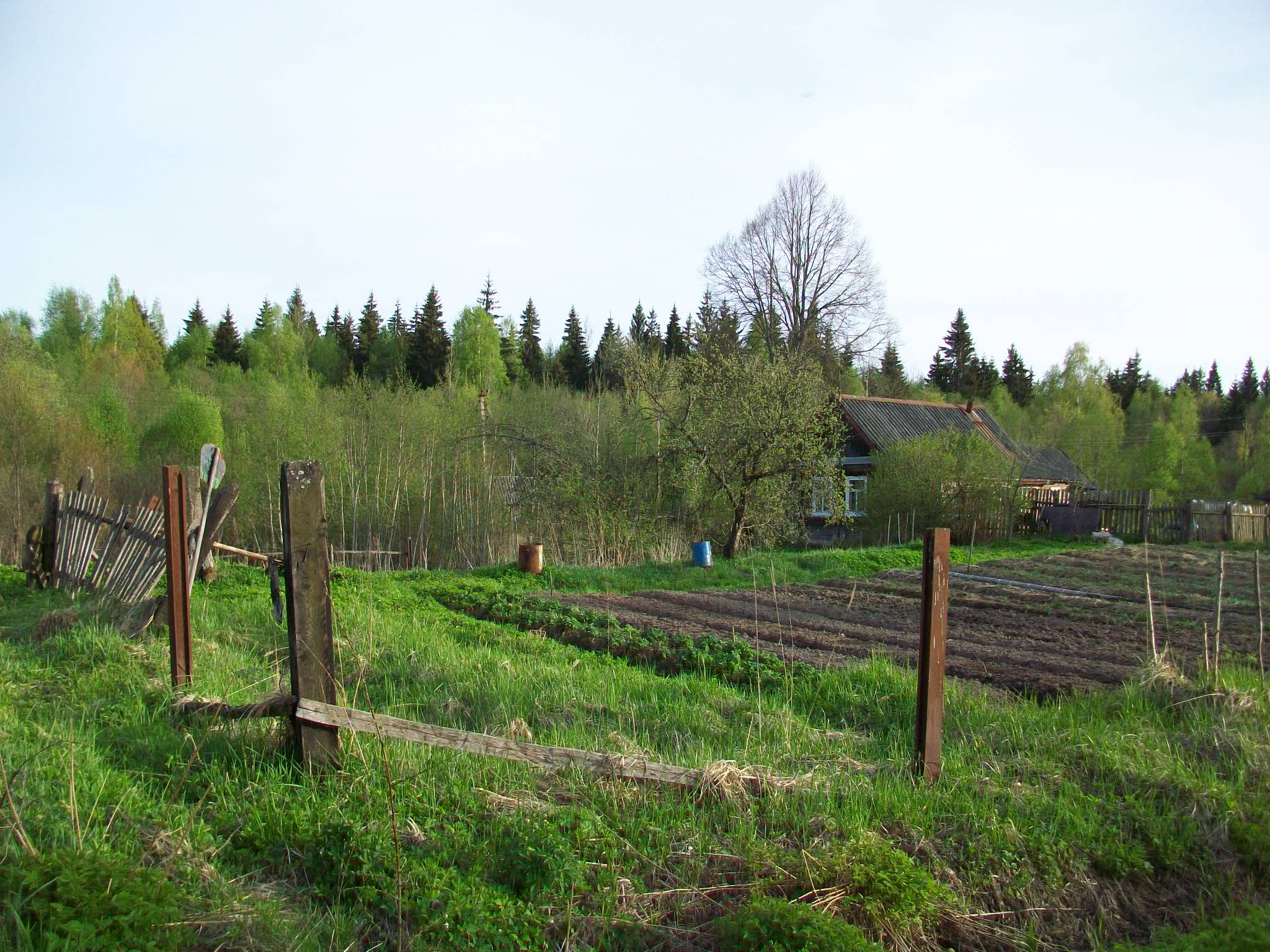 Железнодорожная линия Валдай — Крестцы 
  —  фотографии, сделанные в 2015 году (часть   55)