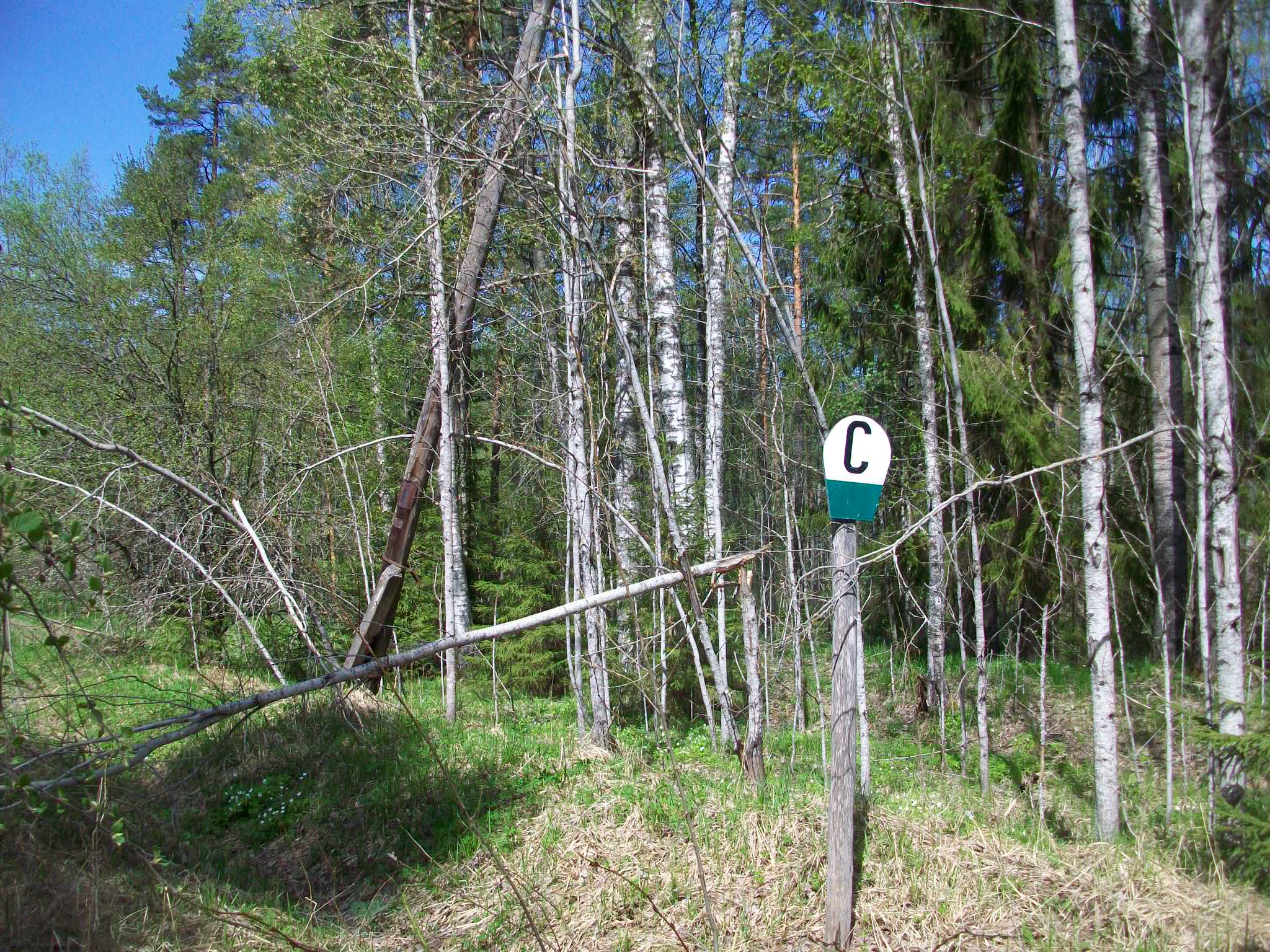 Железнодорожная линия Валдай — Крестцы 
  —  фотографии, сделанные в 2015 году (часть 27)