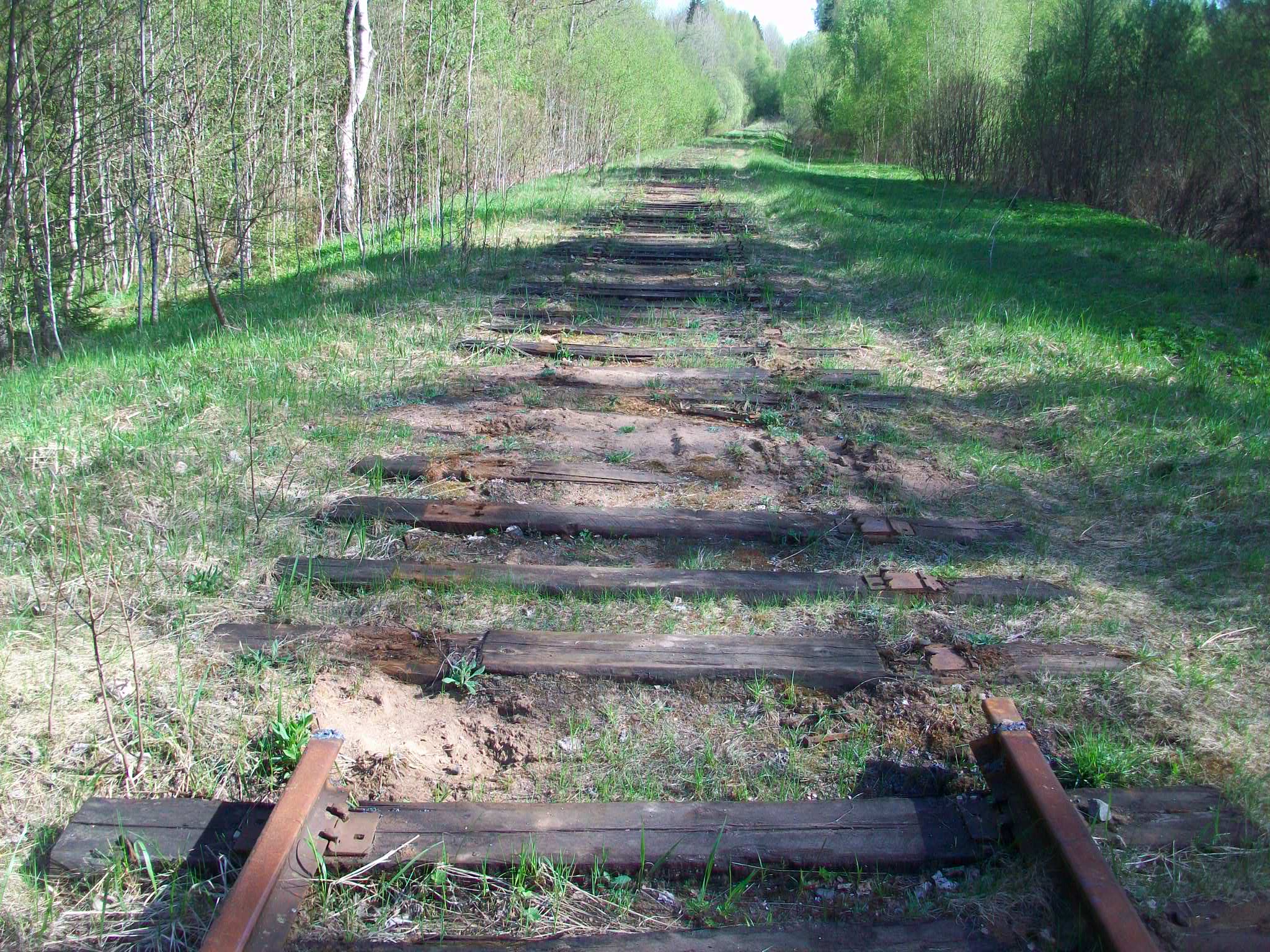 Железнодорожная линия Валдай — Крестцы 
  —  фотографии, сделанные в 2015 году (часть 45)