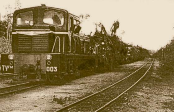 Крестецкая узкоколейная железная дорога