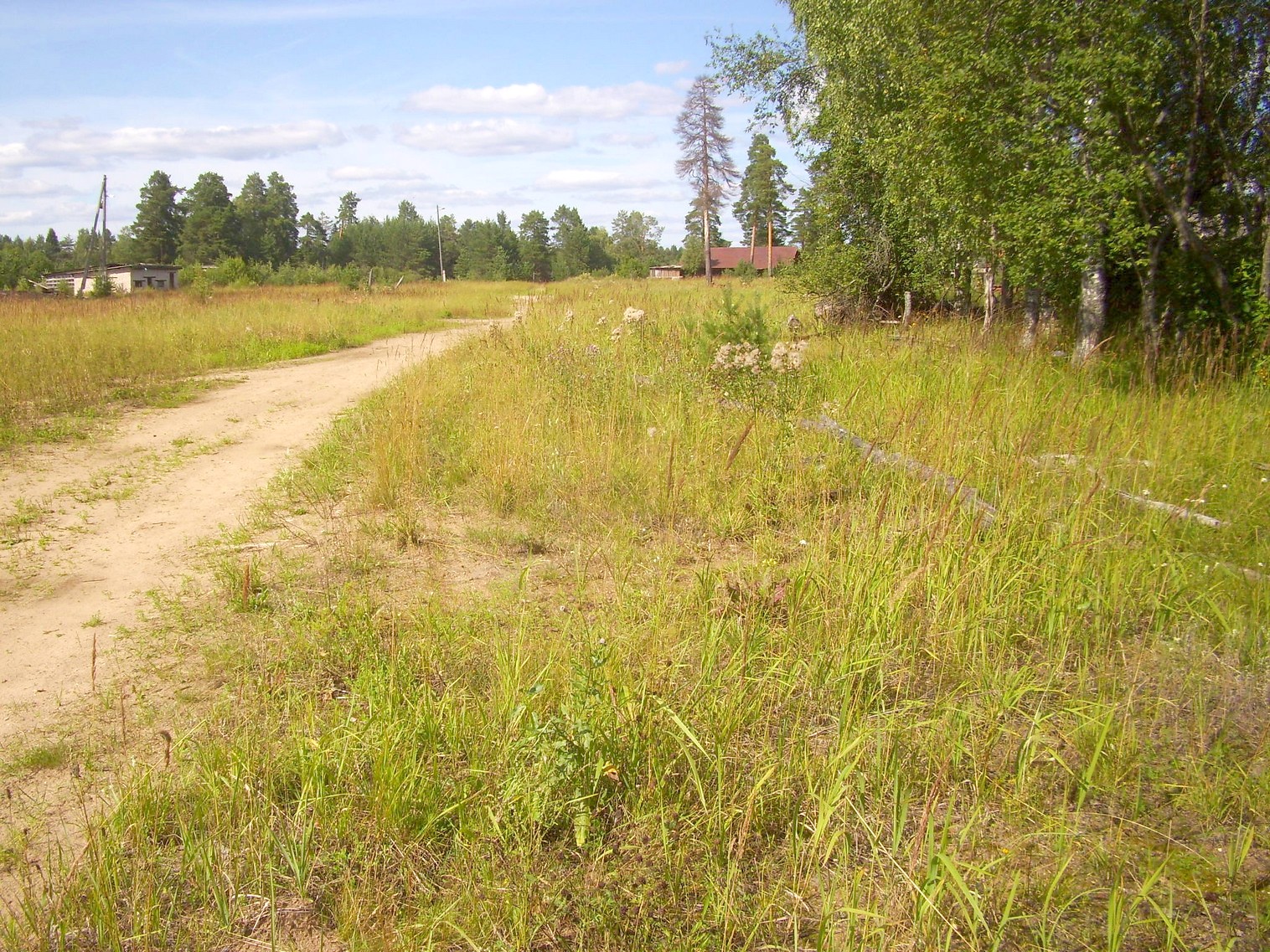 Верхне-Нюрюгская узкоколейная железная дорога  —  фотографии, сделанные в 2012 году
