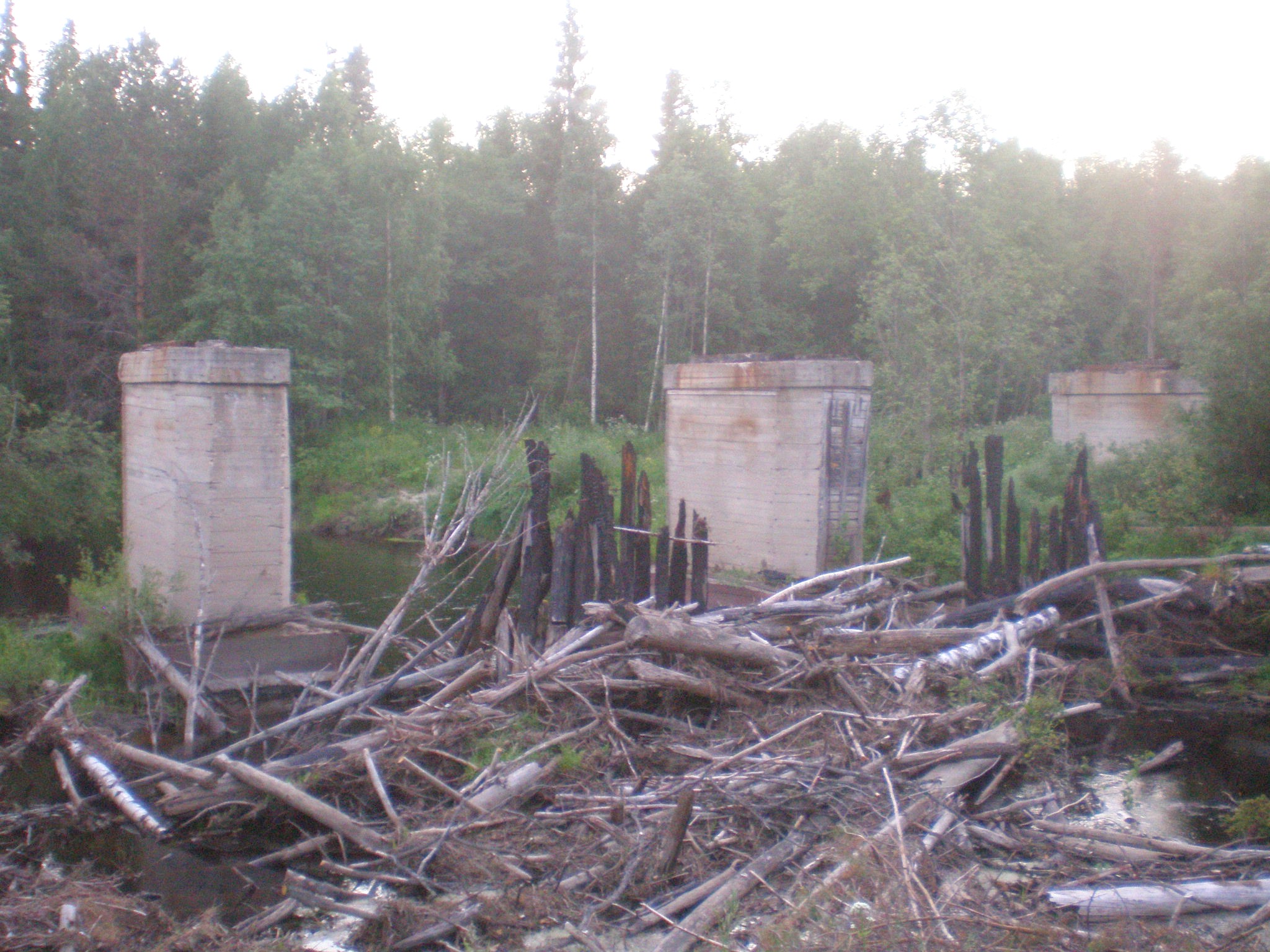 Мехреньгская железная дорога  —  фотографии, сделанные в 2009 году (часть 9)