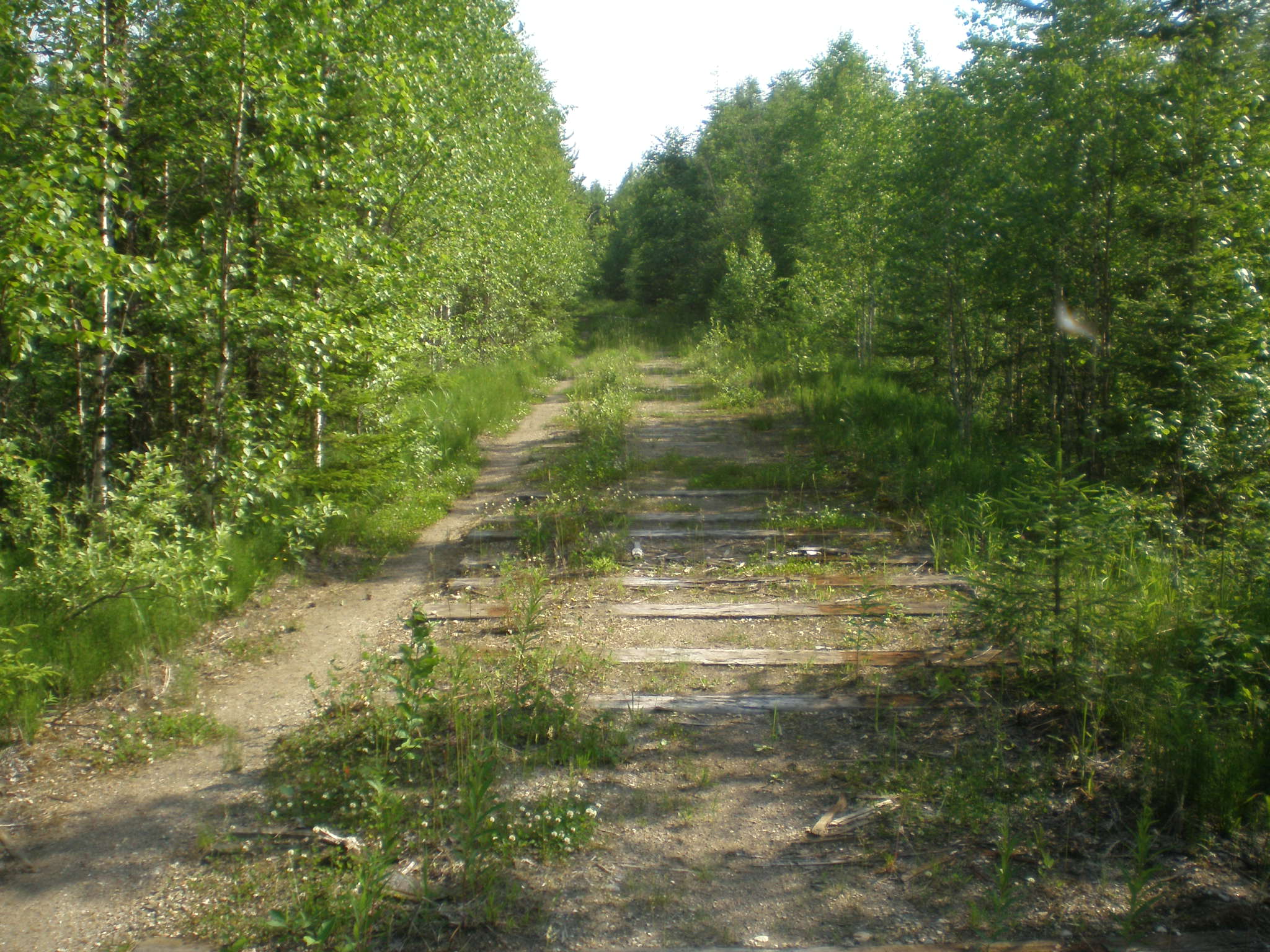 Мехреньгская железная дорога  —  фотографии, сделанные в 2009 году (часть 12)
