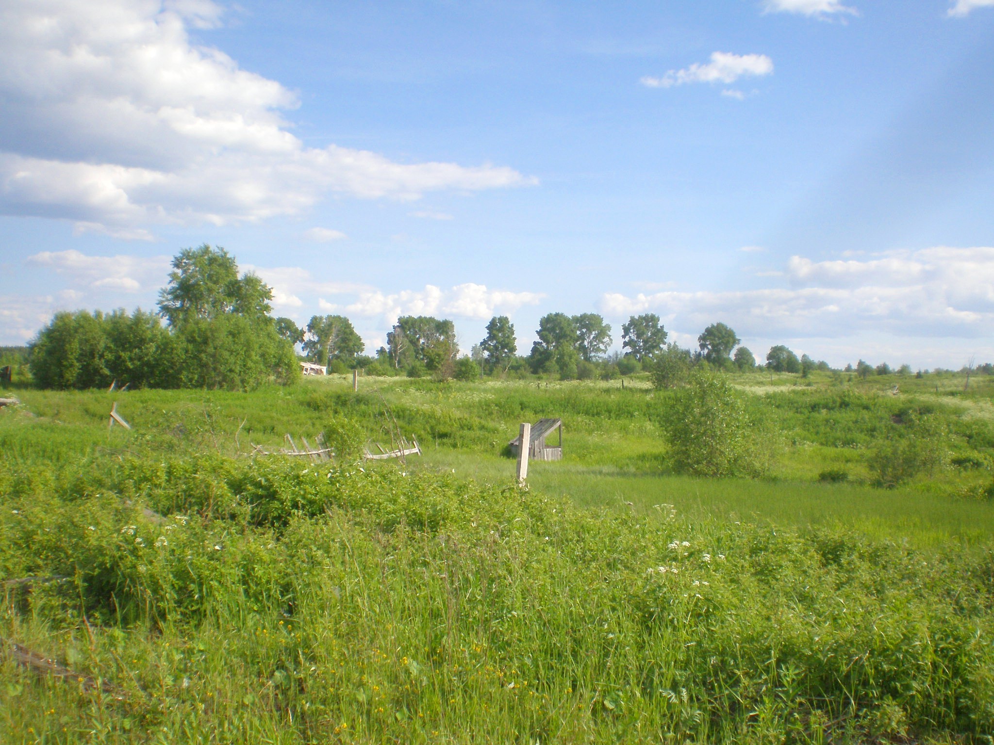 Мехреньгская железная дорога  —  фотографии, сделанные в 2009 году (часть 4)