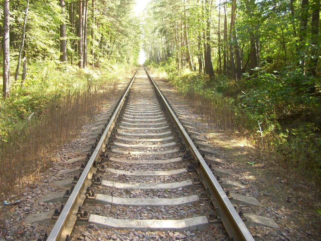 Железнодорожная линия Лыткаринского ППЖТ (Мальчики — Заводская)
  —  фотографии, сделанные в 2012 году (часть 3)