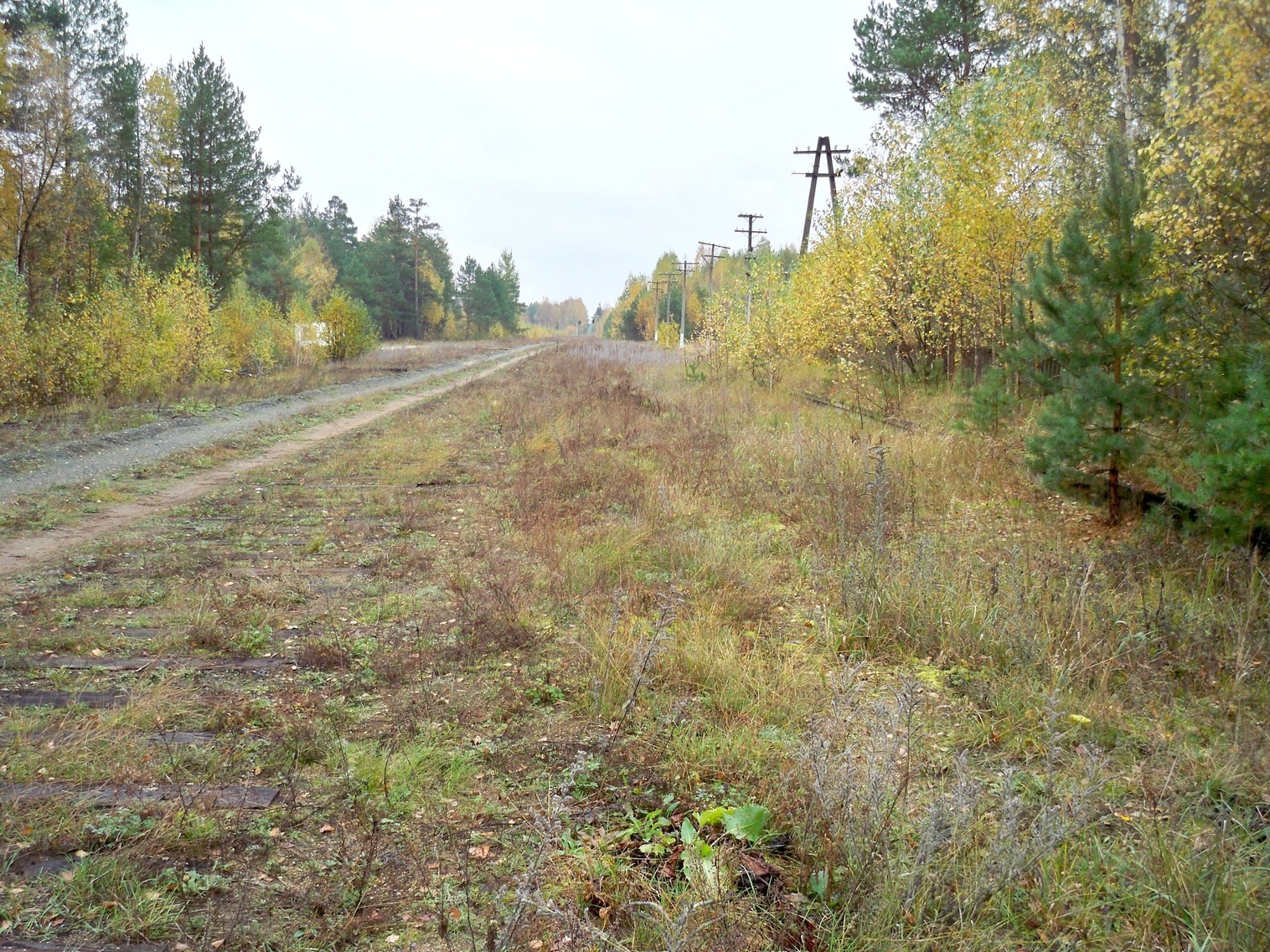 Железнодорожная линия Сазоново — Пилево — фотографии, сделанные в 2012 году (часть 3)