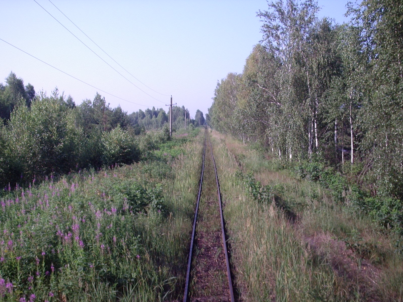 Узкоколейная железная дорога Мещерского торфопредприятия  — фотографии, сделанные в 2006 году (часть 6)