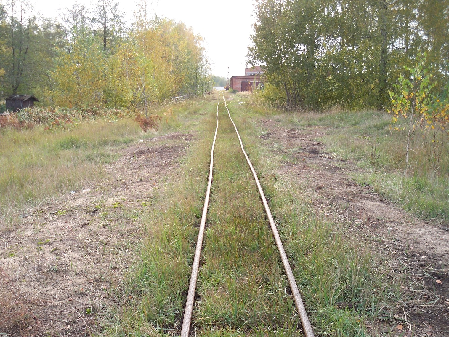 Узкоколейная железная дорога Мещерского торфопредприятия  — фотографии, сделанные в 2012 году