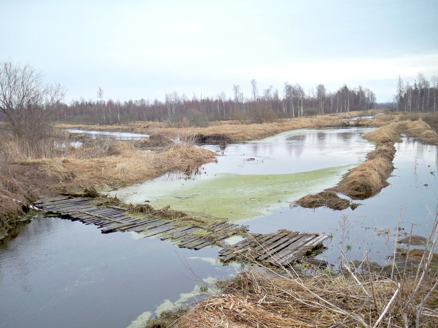Узкоколейная железная дорога Купанского транспортного управления — фотографии, сделанные в 2013 году (часть 3)