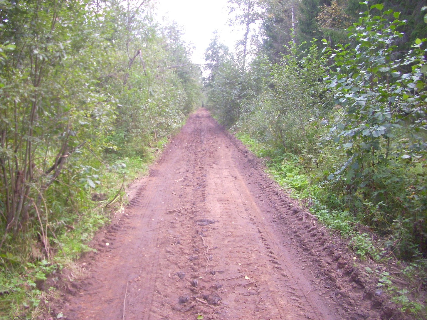 Кневицкая узкоколейная железная дорога — фотографии, сделанные в 2011 году (часть 2)