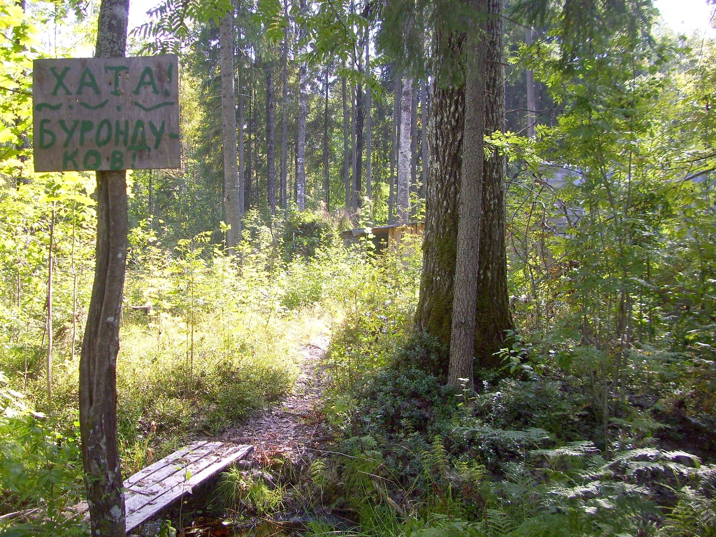 Кневицкая узкоколейная железная дорога — фотографии, сделанные в 2011 году (часть 12)