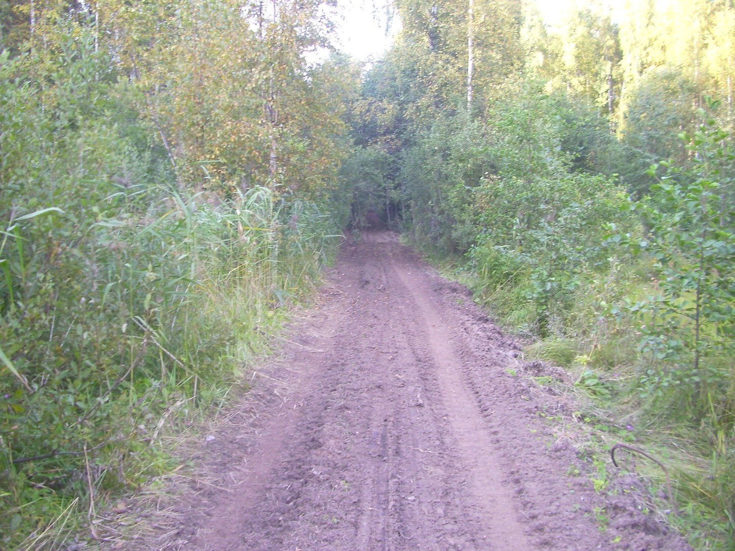 Кневицкая узкоколейная железная дорога — фотографии, сделанные в 2011 году (часть 3)