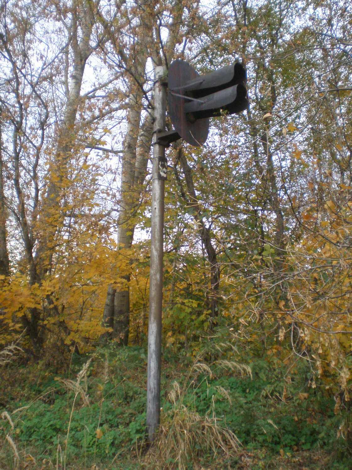 Узкоколейная железная дорога Радовицкого  транспортного управления — фотографии, сделанные в 2008 году (часть 15)