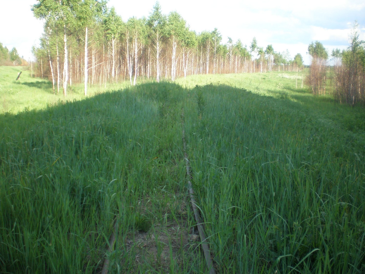 Узкоколейная железная дорога Радовицкого  транспортного управления — фотографии, сделанные в 2009 году (часть 18)