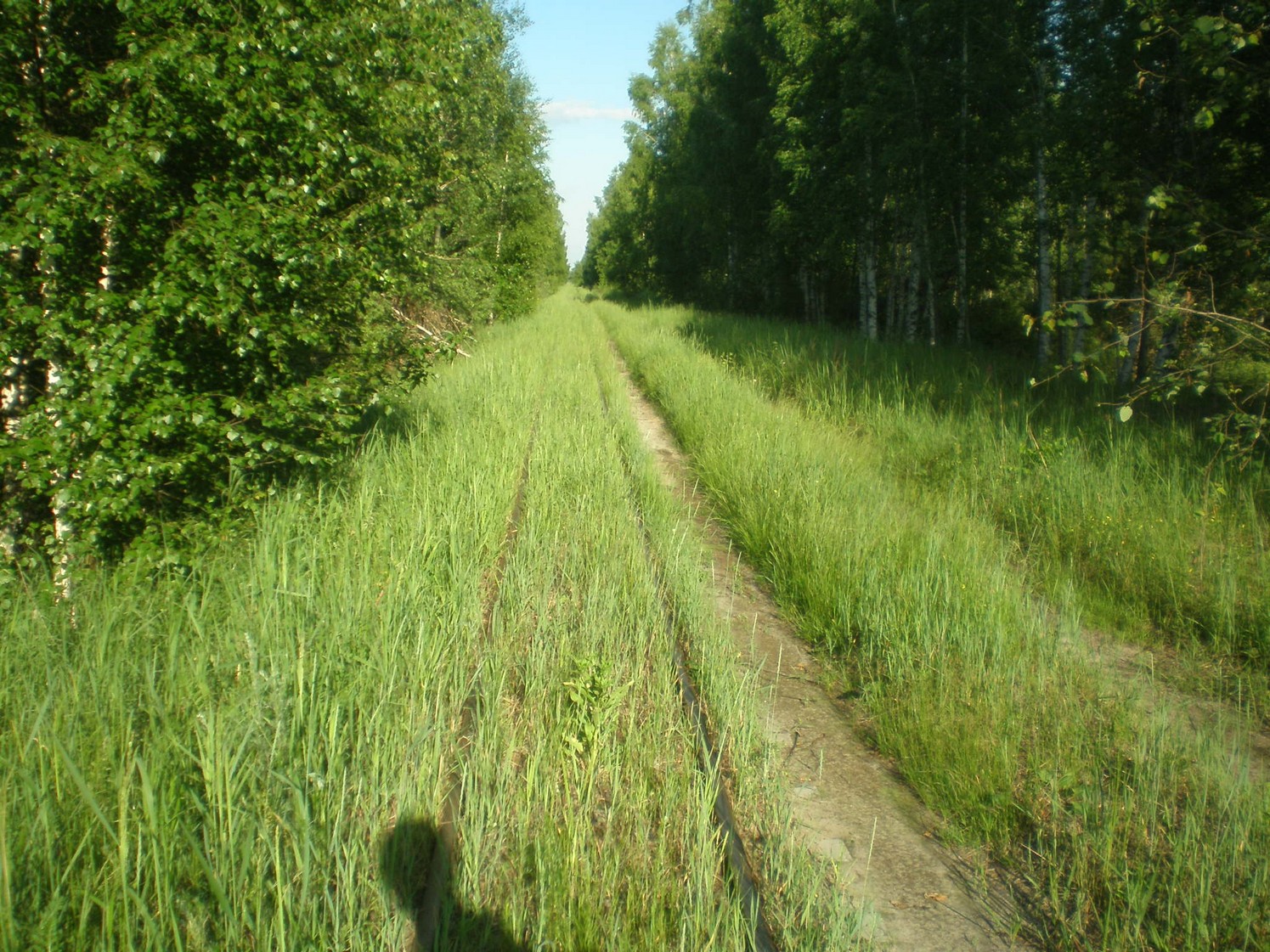 Узкоколейная железная дорога Радовицкого  транспортного управления — фотографии, сделанные в 2009 году (часть 19)