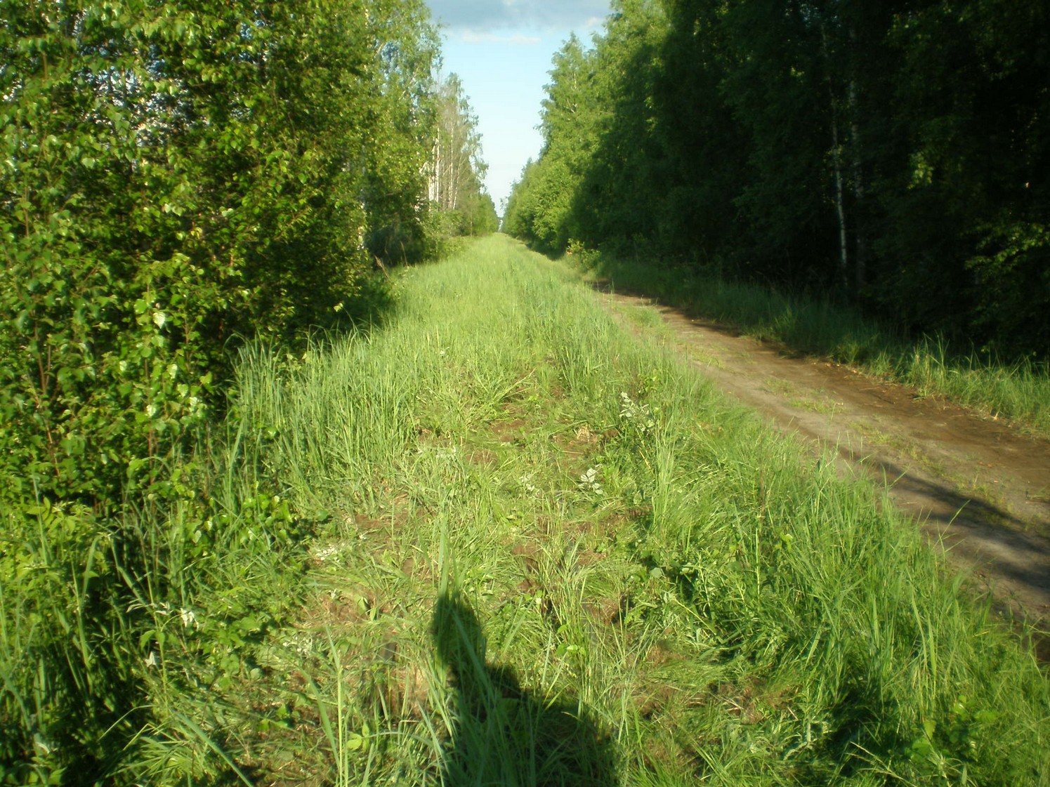 Узкоколейная железная дорога Радовицкого  транспортного управления — фотографии, сделанные в 2009 году (часть 20)