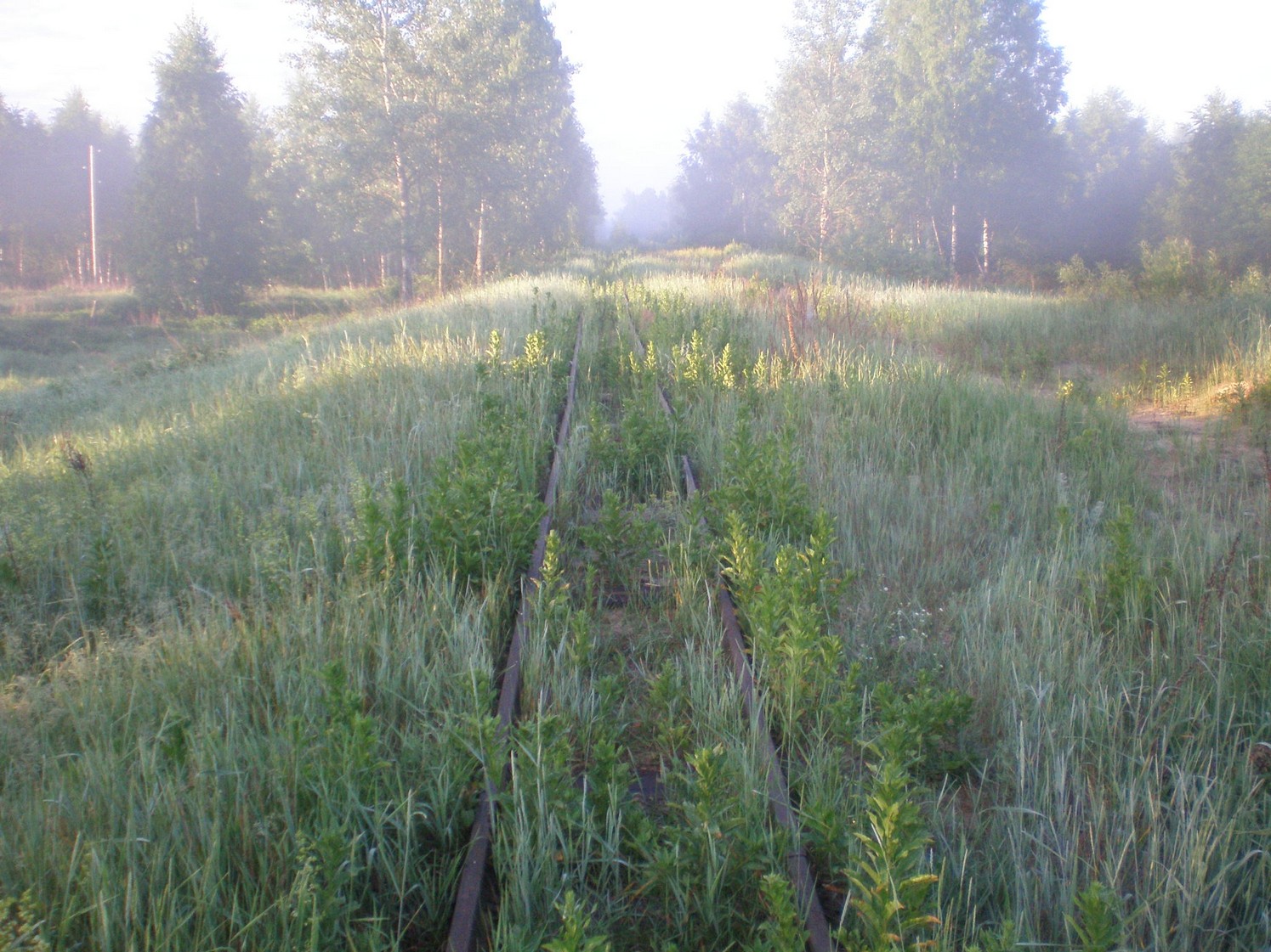 Узкоколейная железная дорога Радовицкого  транспортного управления — фотографии, сделанные в 2009 году (часть 27)