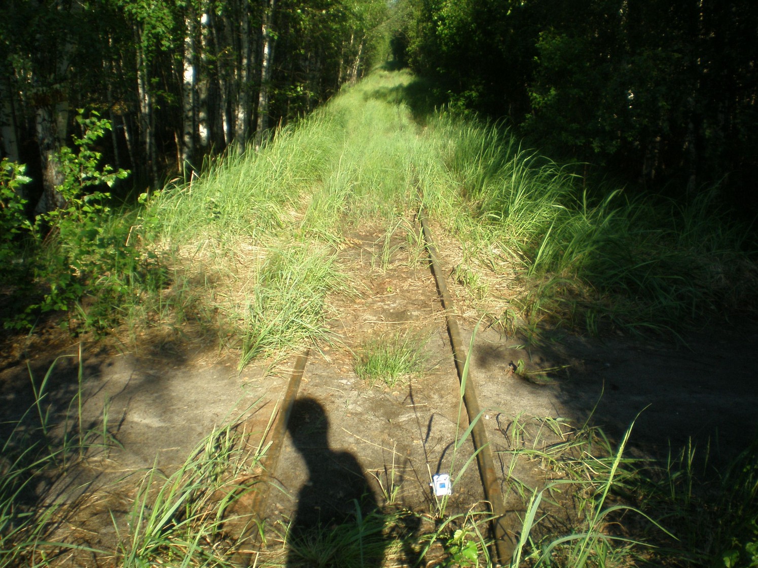 Узкоколейная железная дорога Радовицкого  транспортного управления — фотографии, сделанные в 2009 году (часть 34)