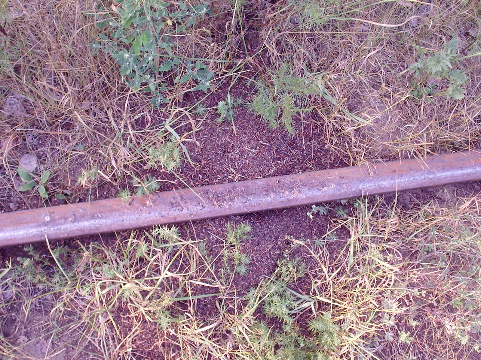 Рязанско-Владимирская узкоколейная железная дорога - фотографии, сделанные в 2006 году (часть 8)