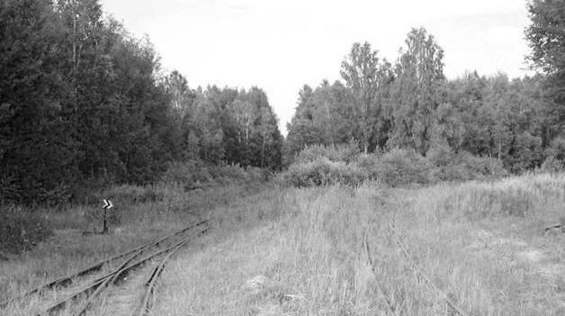 Рязанско-Владимирская узкоколейная железная дорога