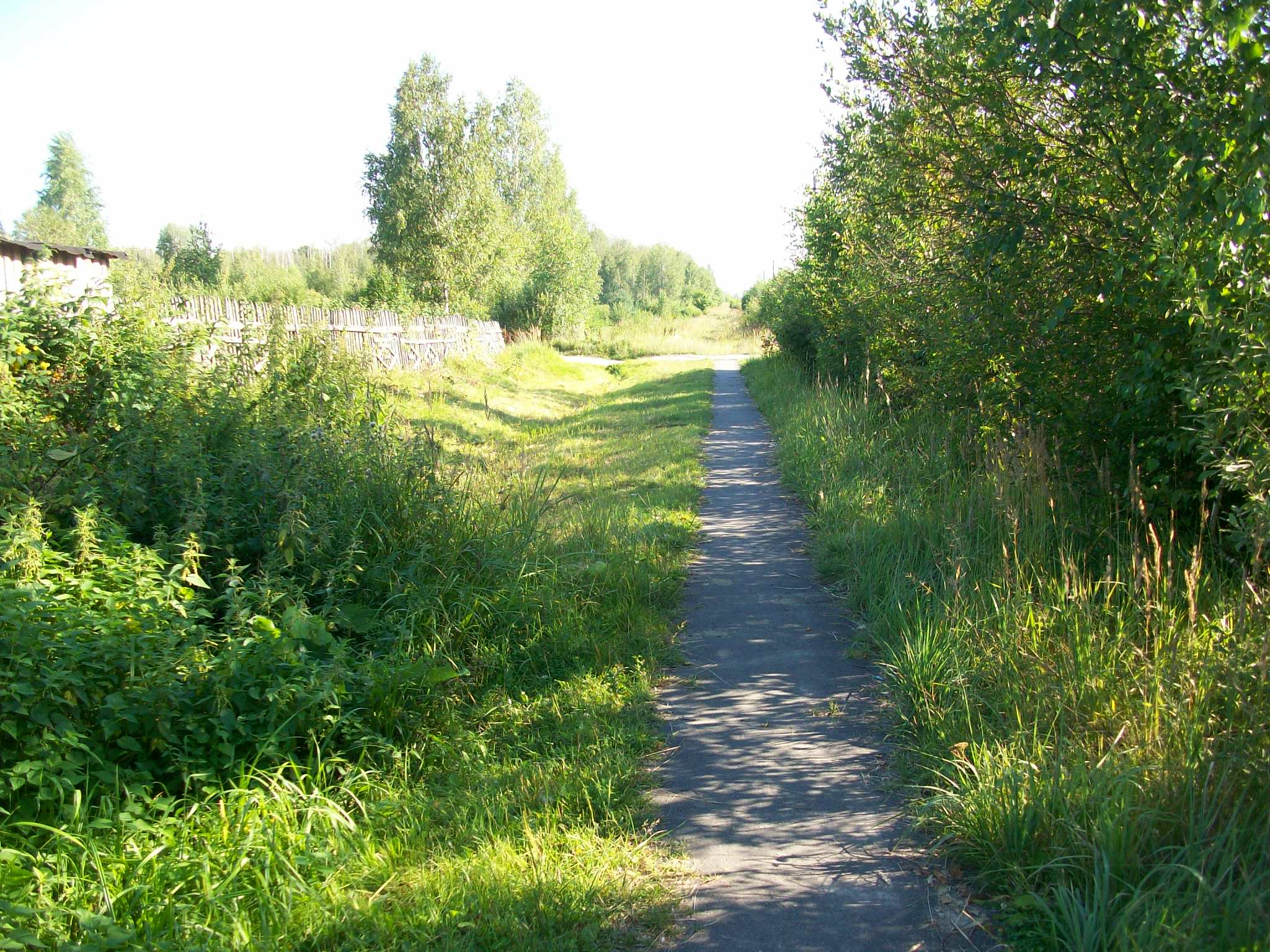 Железнодорожная линия Потьма — Барашево — фотографии, сделанные в 2015 году (часть 5)